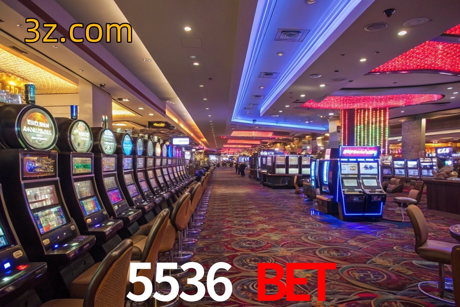  5536 bet vip